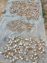 팜모닝 자유주제·자유게시판 게시글 이미지