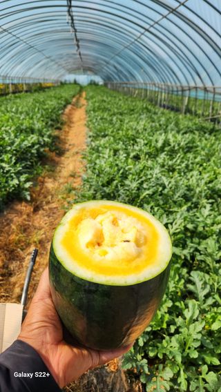 이재오님의 장터이야기 · 자유게시판 작성글 사진