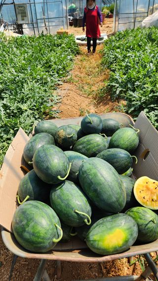 이재오님의 장터이야기 · 자유게시판 작성글 사진