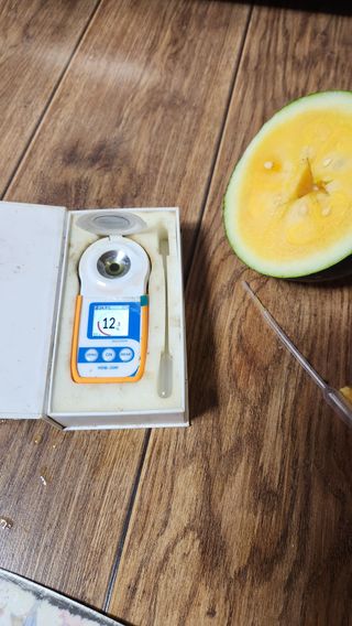 이재오님의 장터이야기 · 자유게시판 작성글 사진