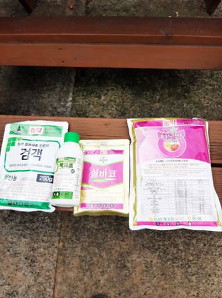 두릅나무16138님의 농부님! 어떤 농약 쓰세요? · 참여 작성글 사진