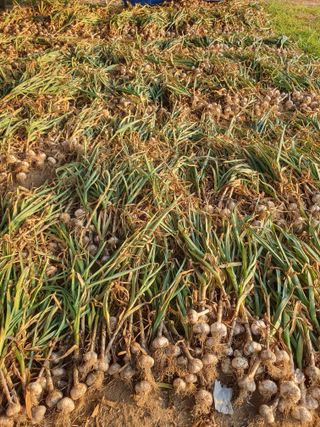 신재경님의 작성글 사진