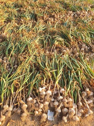 신재경님의 작성글 사진