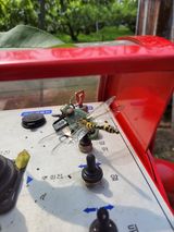 팜모닝 복숭아·자유게시판 게시글 이미지