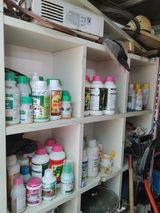 팜모닝 농부님! 어떤 농약 쓰세요?·참여 게시글 이미지