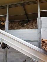 팜모닝 마늘·수확 게시글 이미지