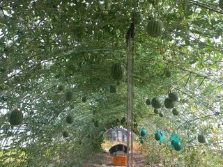 김인선님의 자유주제 · 자유게시판 작성글 사진