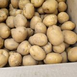 팜모닝 · 게시글 이미지