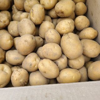 강옥만님의 작성글 사진