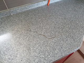 류상수 님의 기타작물 · 병해충상담 작성글 사진