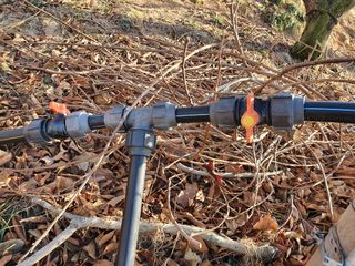 류상수 님의 기타작물 · 병해충상담 작성글 사진