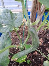 팜모닝 자유주제·자유게시판 게시글 이미지