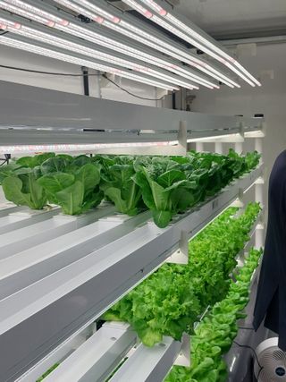 손윤영/수채화농원님의 자유주제 · 자유게시판 작성글 사진