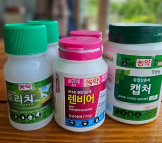 윤장원님의 자두 · 영농일지 작성글 사진