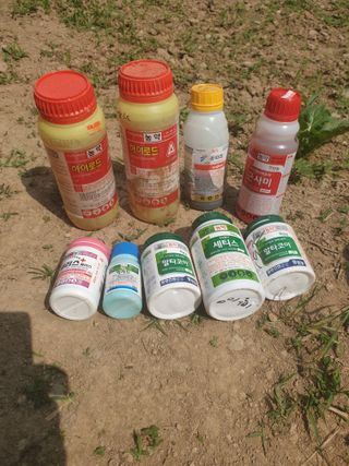 미천개심님의 농부님! 어떤 농약 쓰세요? · 참여 작성글 사진