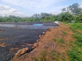 반도님의 팜모닝공식 · 광고승인요청 작성글 사진