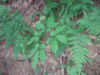 김봉호님의 작성글 사진