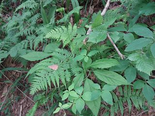 김봉호님의 작성글 사진