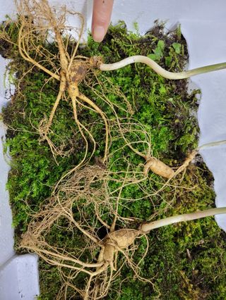 김봉호님의 작성글 사진