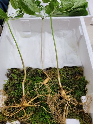 김봉호님의 작성글 사진