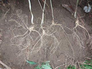 김봉호님의 작성글 사진