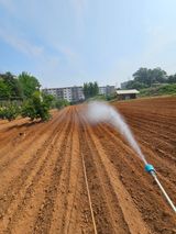 팜모닝 콩·자유게시판 게시글 이미지