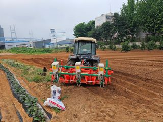 묽맑은 길 이영행님의 콩 · 자유게시판 작성글 사진