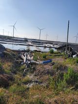 팜모닝 자유주제·자유게시판 게시글 이미지