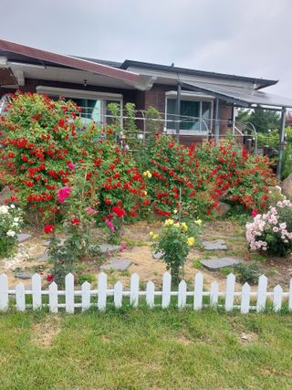 김충구내 집 예쁘게님의 자유주제 · 자유게시판 작성글 사진