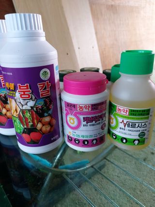 ahnda님의 농부님! 어떤 농약 쓰세요? · 참여 작성글 사진