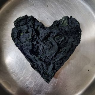 김지연님의 토마토 · 일상 작성글 사진