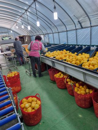 팜모닝회원,이중희 님의 농부님! 어떤 농약 쓰세요? · 참여 작성글 사진