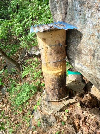 김명중님의 농부님! 어떤 농약 쓰세요? · 참여 작성글 사진