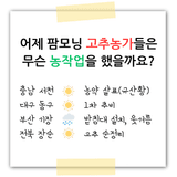 팜모닝 팜모닝공식·농사정보 게시글 이미지