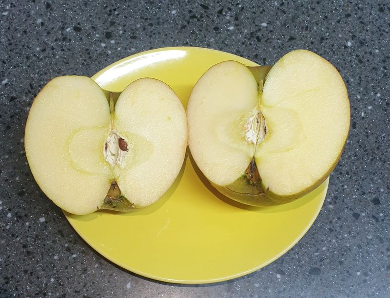 호랑이와인성이님의 장터 판매 상품 [🍎 🍏 꿀맛 사과즙50포 ] 첨부 사진