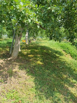 이훈희님의 사과 · 일상 작성글 사진