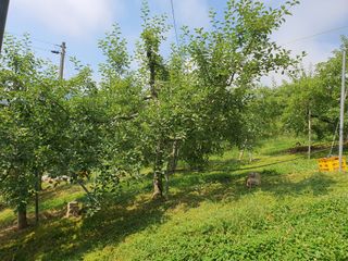 이훈희님의 사과 · 일상 작성글 사진