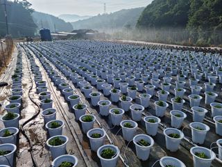 감자10685님의 기타작물 · 영농일지 작성글 사진