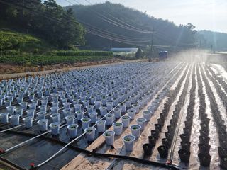 감자10685님의 기타작물 · 영농일지 작성글 사진