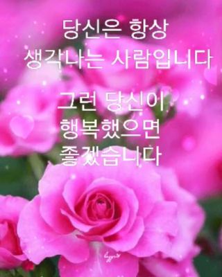 혁이네농원님의 농부님! 어떤 농약 쓰세요? · 참여 작성글 사진