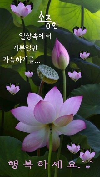 혁이네농원님의 농부님! 어떤 농약 쓰세요? · 참여 작성글 사진