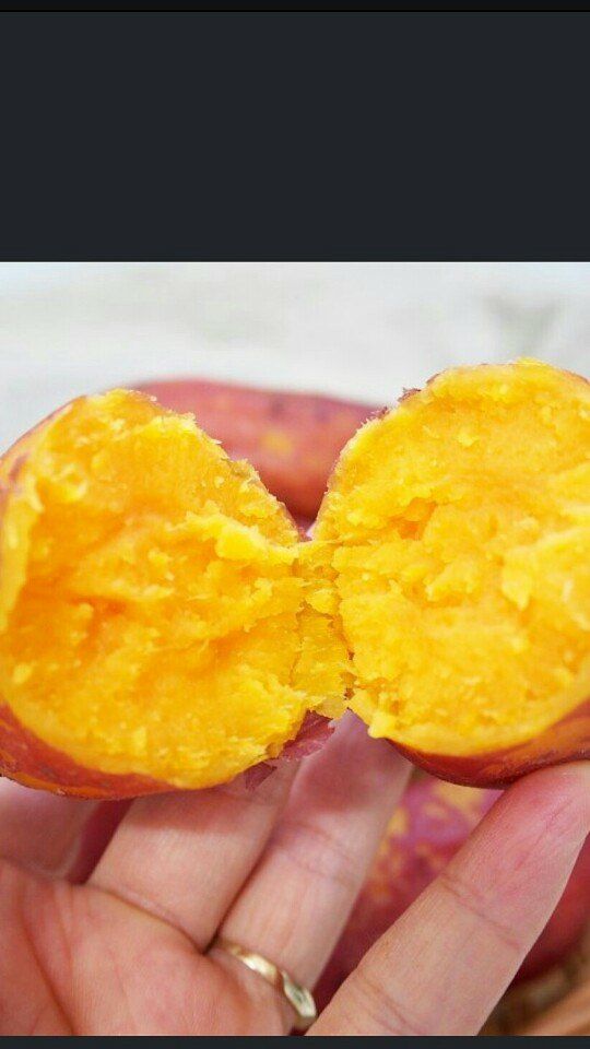 이동훈님의 장터 판매 상품 [고구마종자용 종순 판매] 첨부 사진