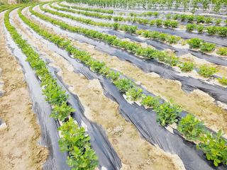 Youngdok님의 기타작물 · 자유게시판 작성글 사진