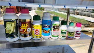 백호순(후추)님의 농부님! 어떤 농약 쓰세요? · 참여 작성글 사진