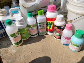 이혜안 님의 고추 · 비료•농약 작성글 사진