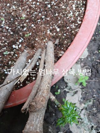 알 수 없음님의 자유주제 · 자유게시판 작성글 사진