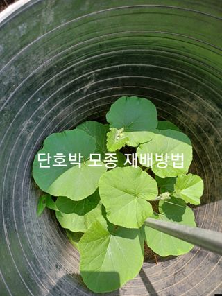 알 수 없음님의 자유주제 · 자유게시판 작성글 사진