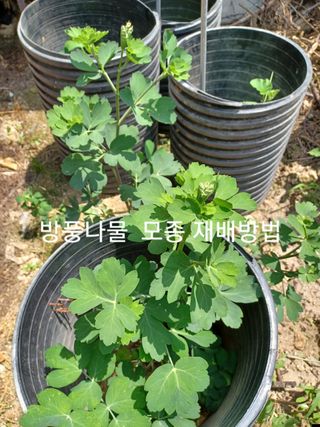 알 수 없음님의 자유주제 · 자유게시판 작성글 사진