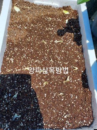 알 수 없음님의 자유주제 · 자유게시판 작성글 사진