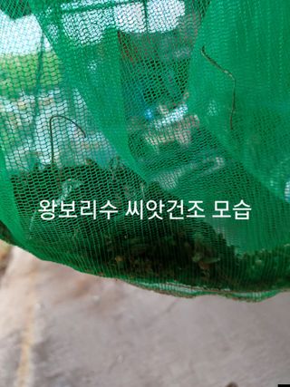 알 수 없음님의 자유주제 · 자유게시판 작성글 사진
